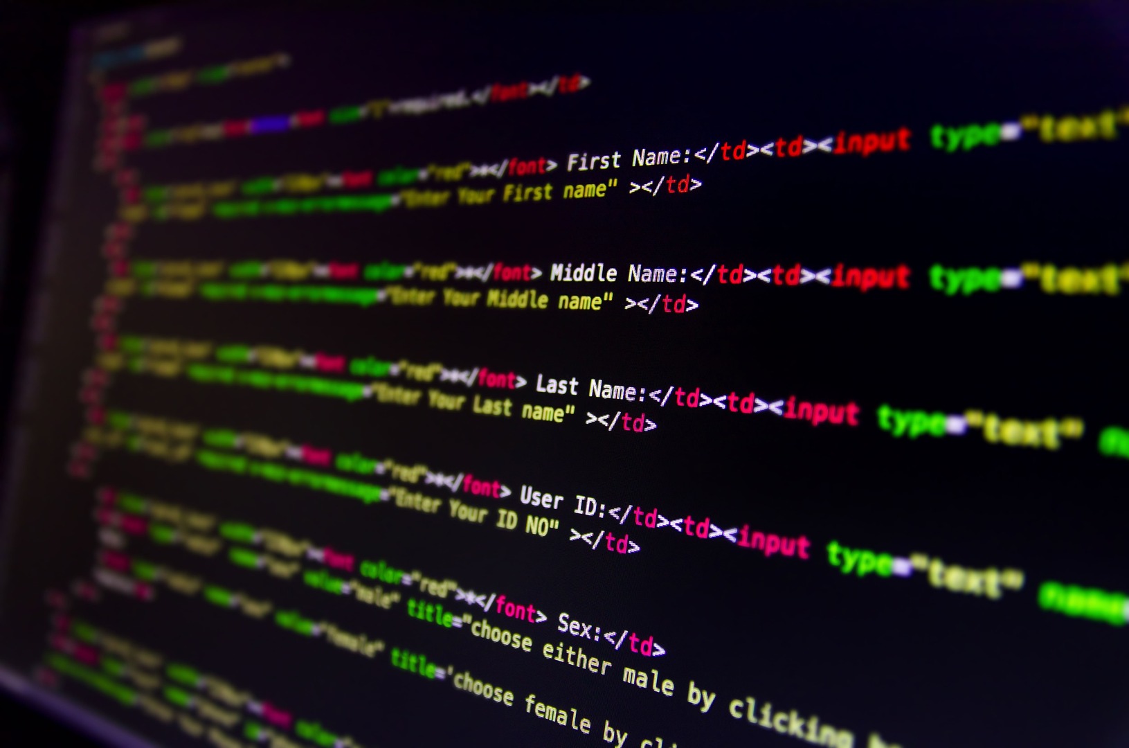 Web Development